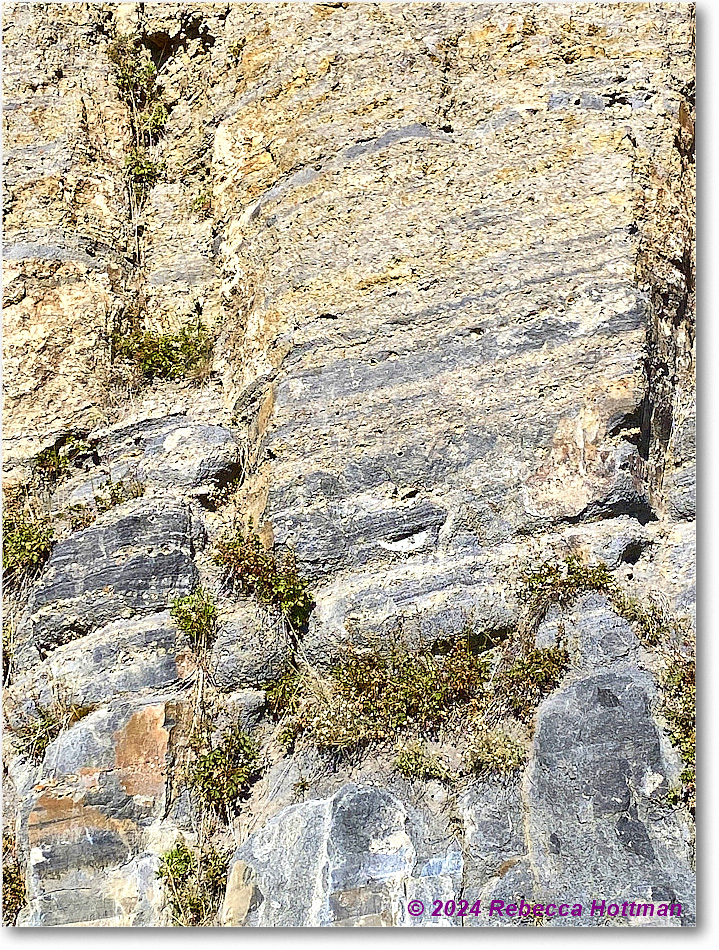 Yellowstone_Aug01Thu_IMG_5485 copy