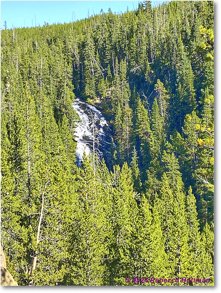 Yellowstone_Aug01Thu_IMG_5488 copy