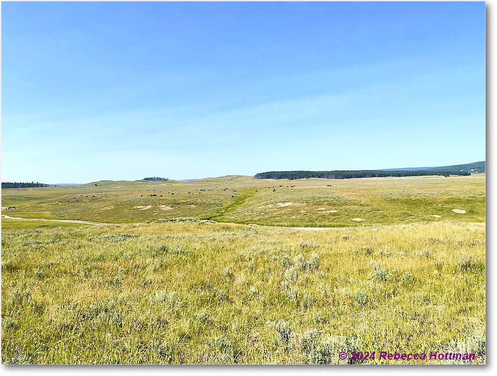 Yellowstone_Aug02Fri_IMG_5499 copy