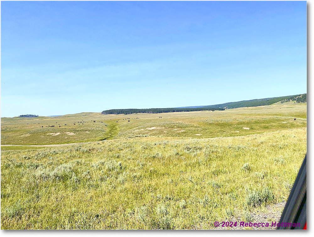 Yellowstone_Aug02Fri_IMG_5500 copy
