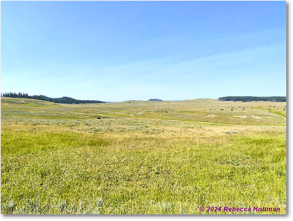 Yellowstone_Aug02Fri_IMG_5501 copy