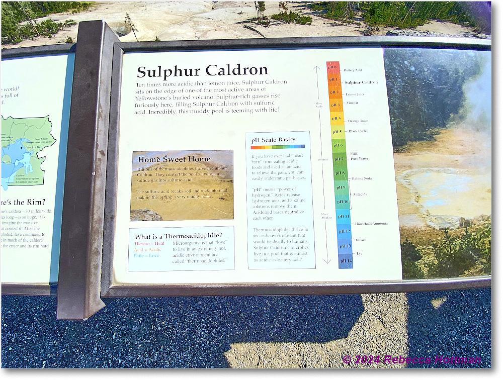 Yellowstone_Aug02Fri_IMG_5513 copy