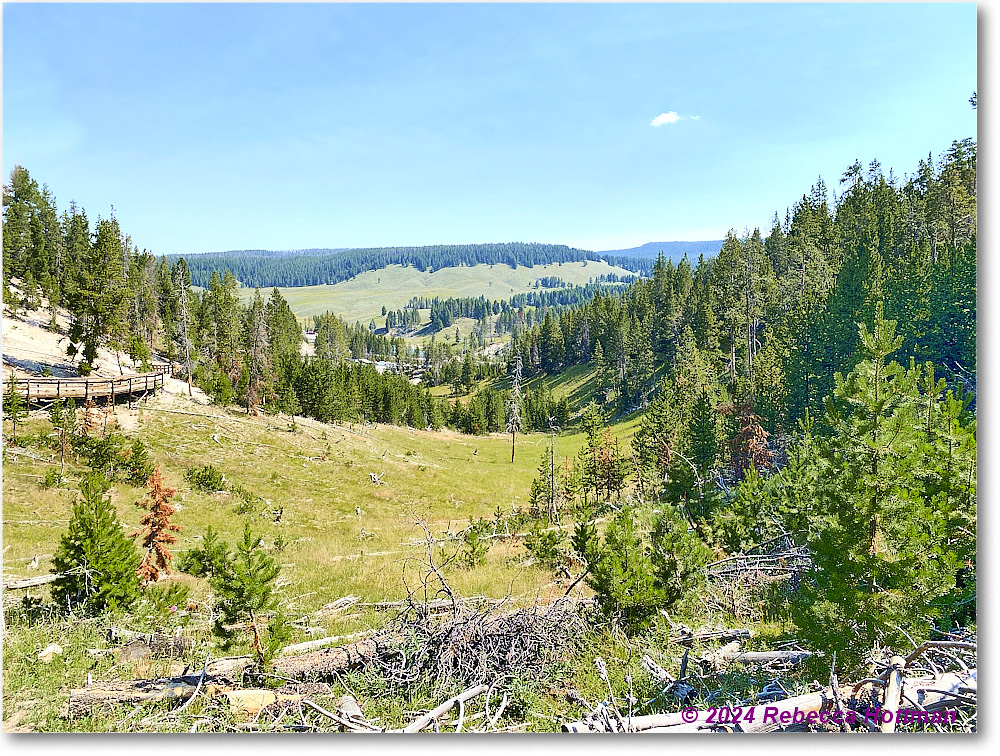 Yellowstone_Aug02Fri_IMG_5523 copy