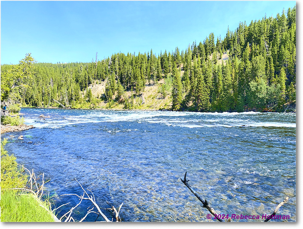 Yellowstone_Aug02Fri_IMG_5532 copy
