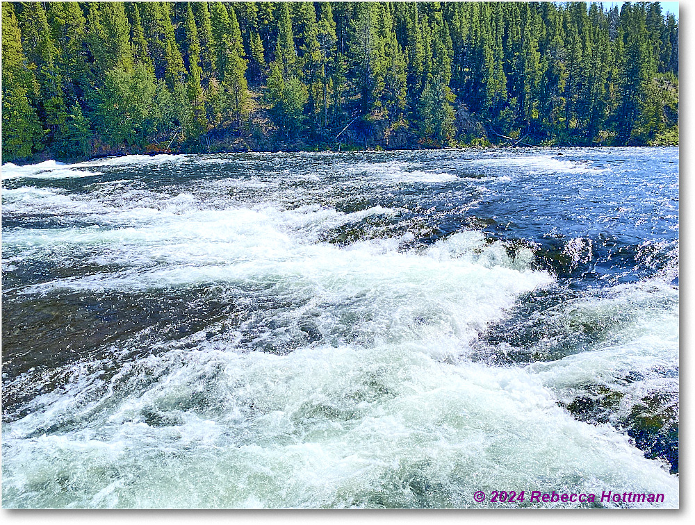 Yellowstone_Aug02Fri_IMG_5536 copy