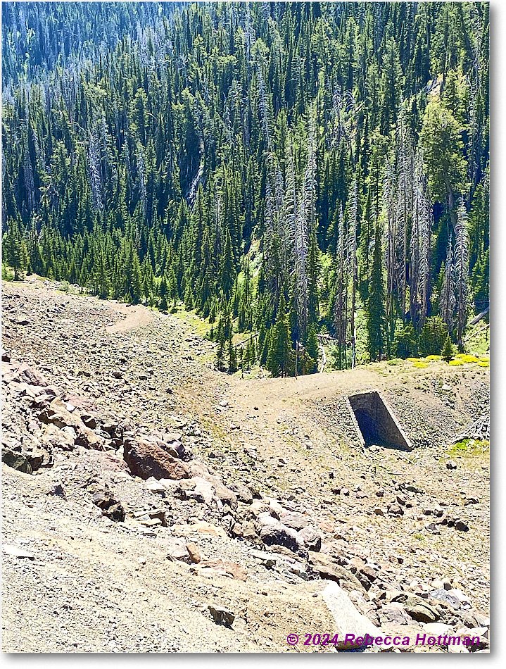 Yellowstone_Aug02Fri_IMG_5540 copy