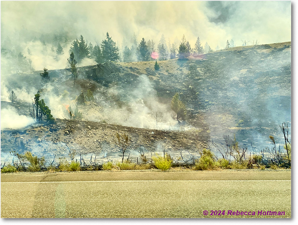 Yellowstone_Aug02Fri_IMG_5556 copy
