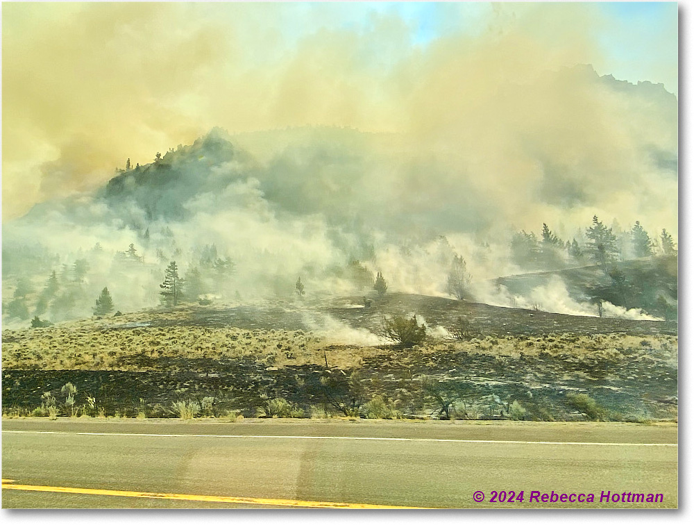 Yellowstone_Aug02Fri_IMG_5557 copy