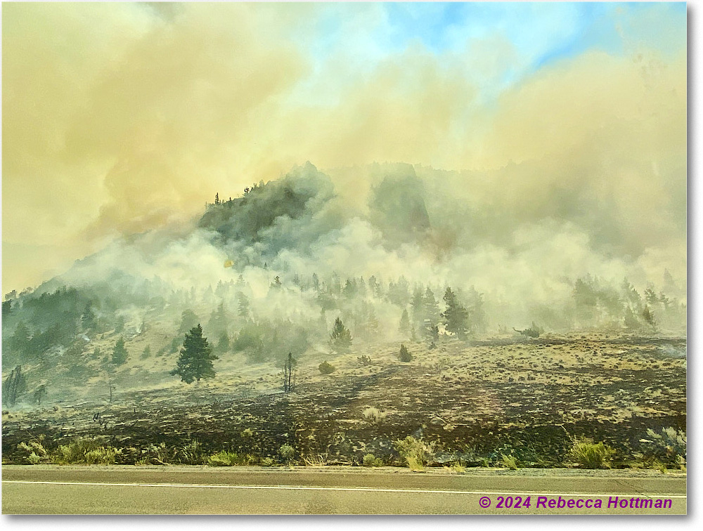 Yellowstone_Aug02Fri_IMG_5558 copy