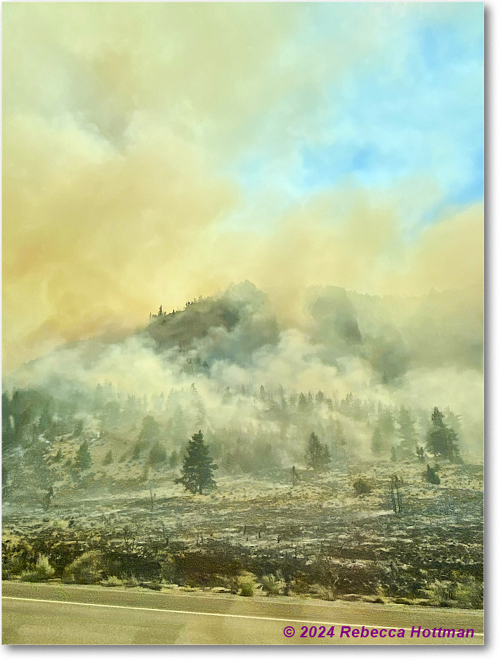 Yellowstone_Aug02Fri_IMG_5559 copy