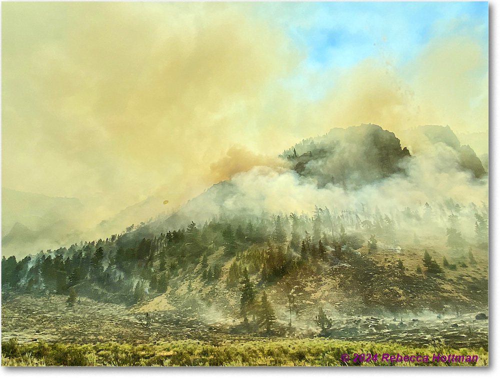 Yellowstone_Aug02Fri_IMG_5561 copy