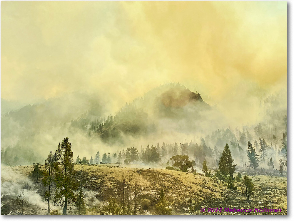 Yellowstone_Aug02Fri_IMG_5563 copy