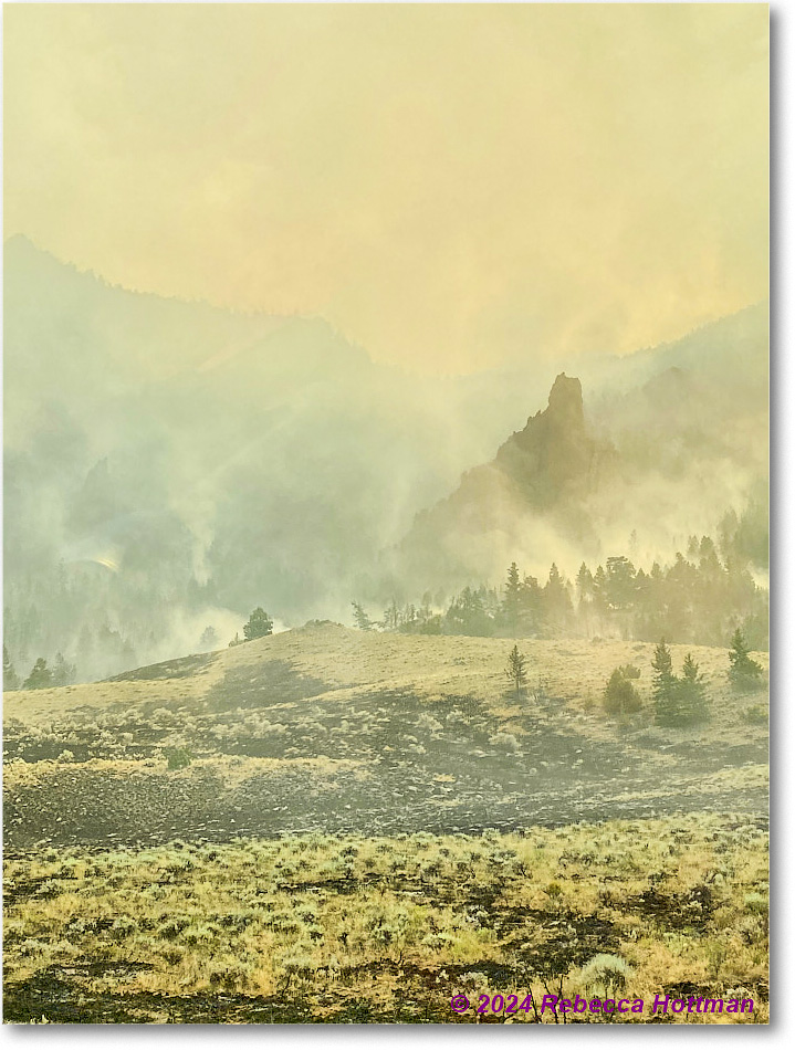 Yellowstone_Aug02Fri_IMG_5565 copy