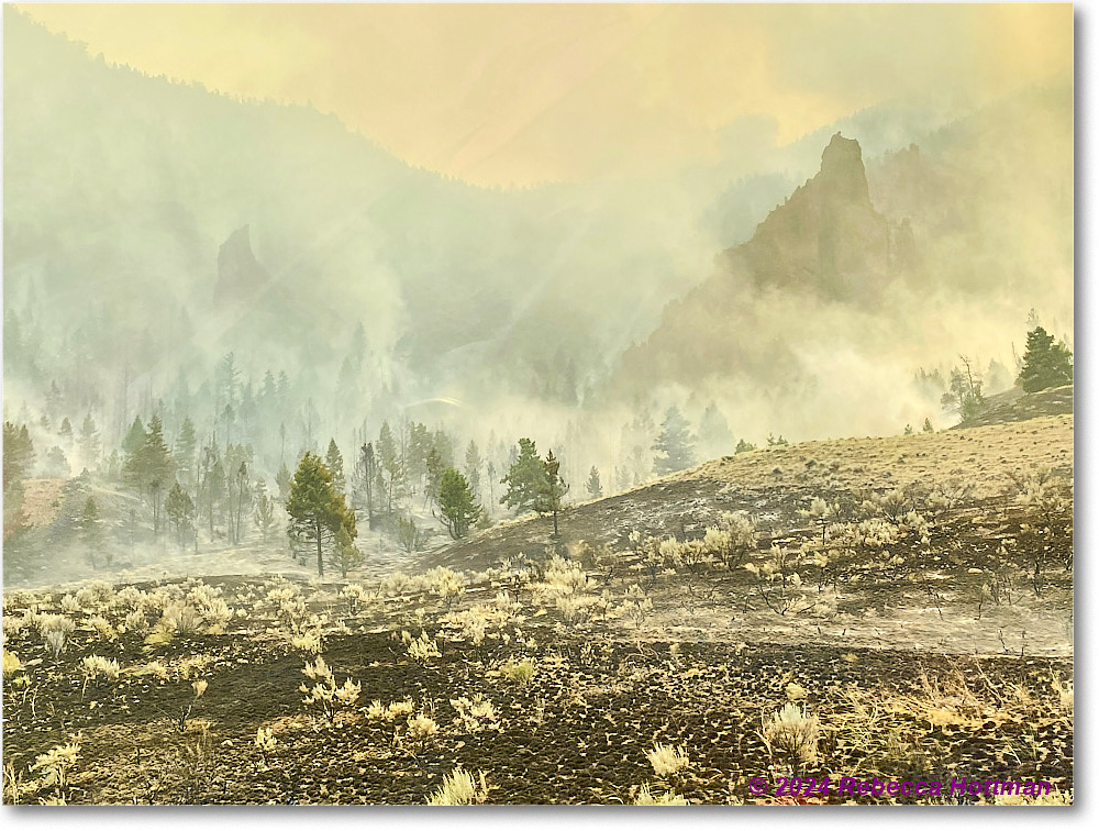 Yellowstone_Aug02Fri_IMG_5566 copy