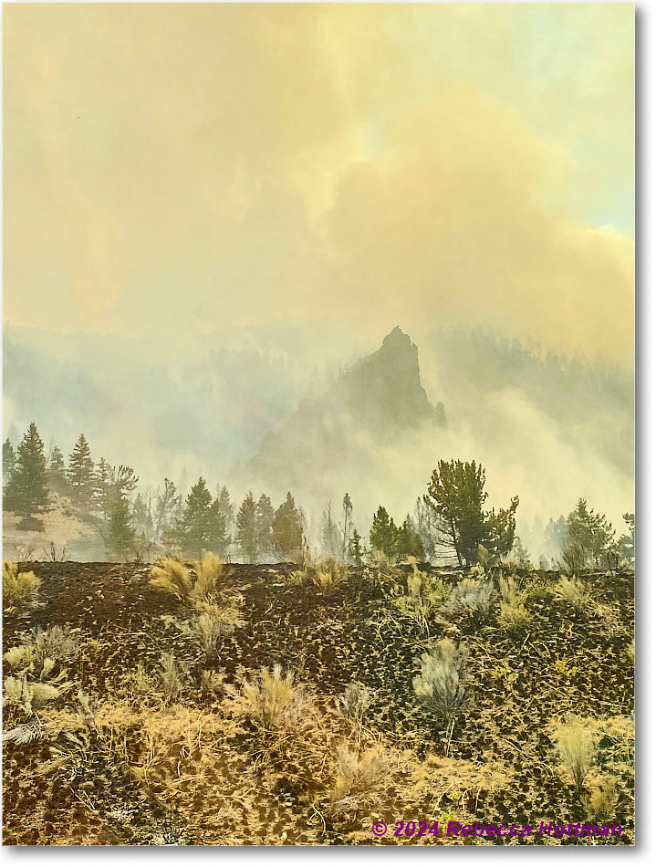 Yellowstone_Aug02Fri_IMG_5568 copy