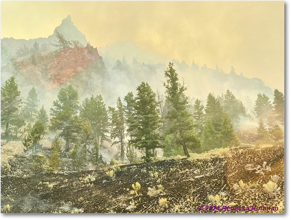 Yellowstone_Aug02Fri_IMG_5569 copy