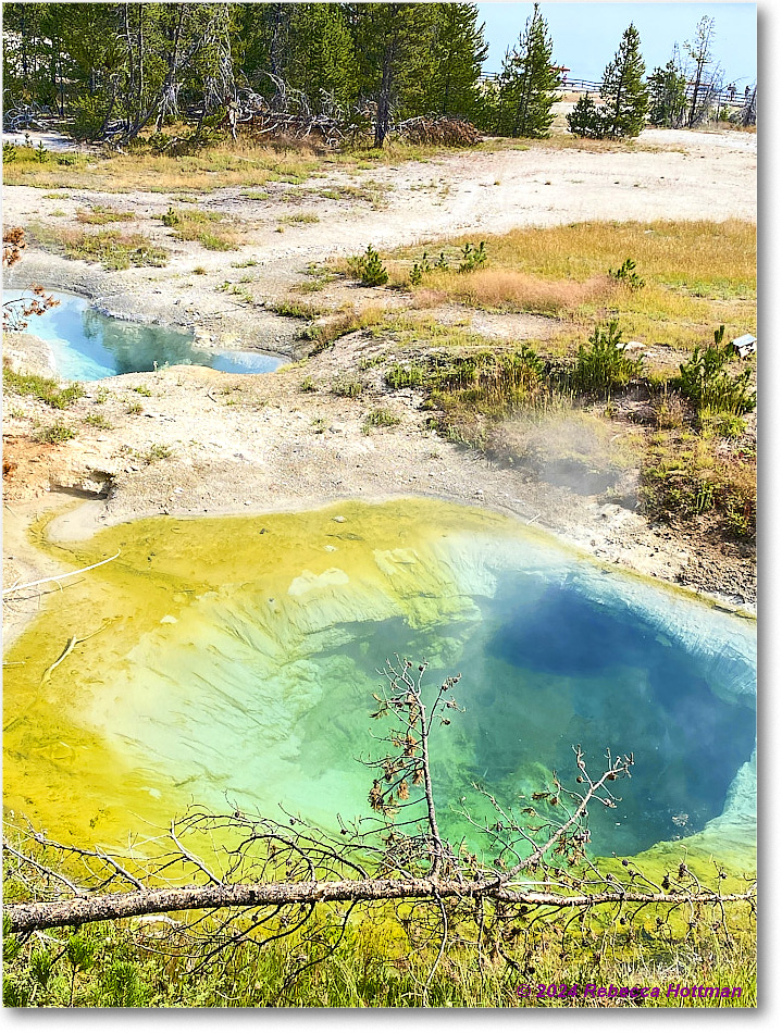 Yellowstone_Aug03Sat_IMG_5577