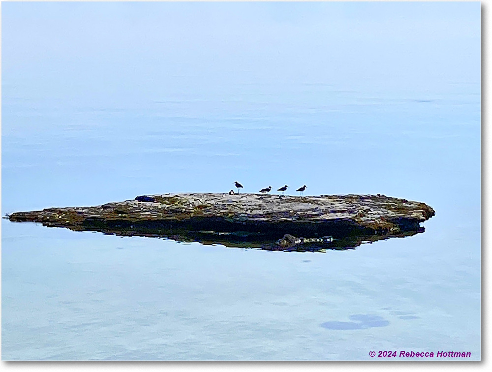 Yellowstone_Aug03Sat_IMG_5578