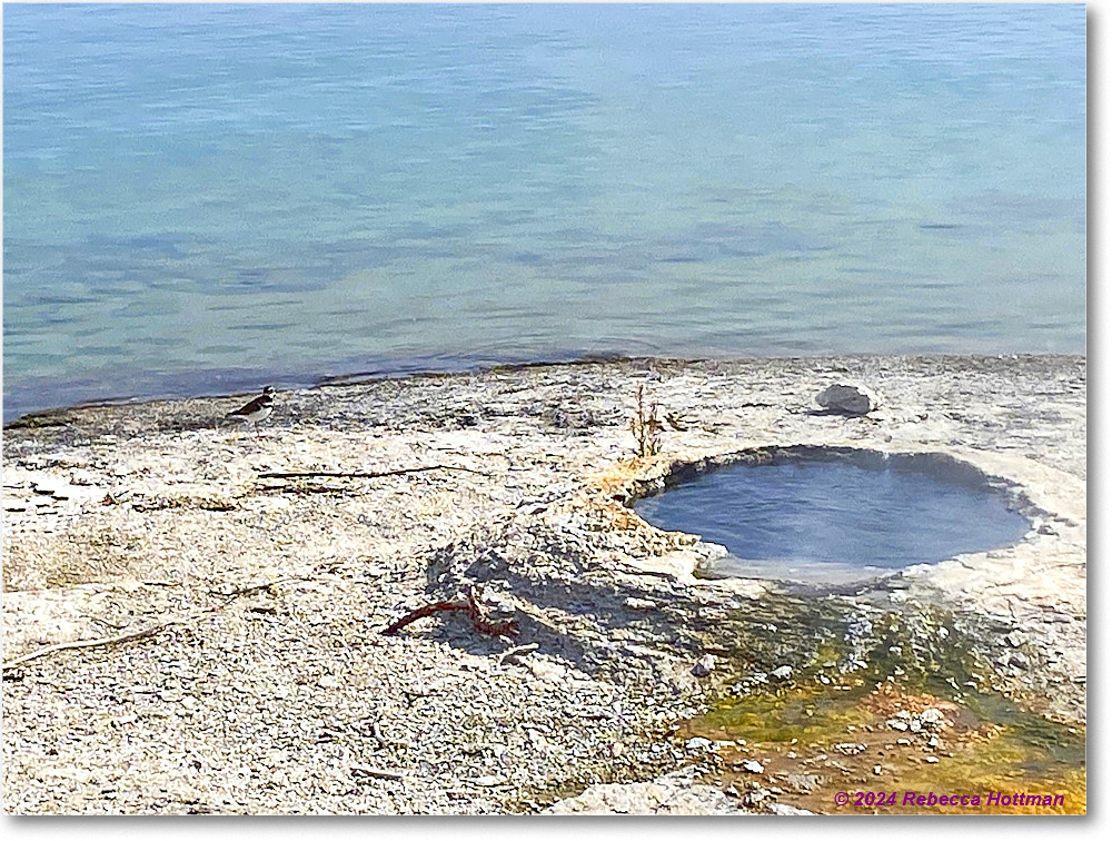 Yellowstone_Aug03Sat_IMG_5589