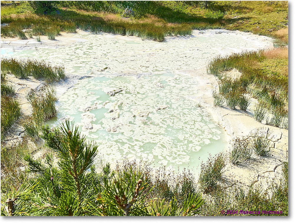 Yellowstone_Aug03Sat_IMG_5605