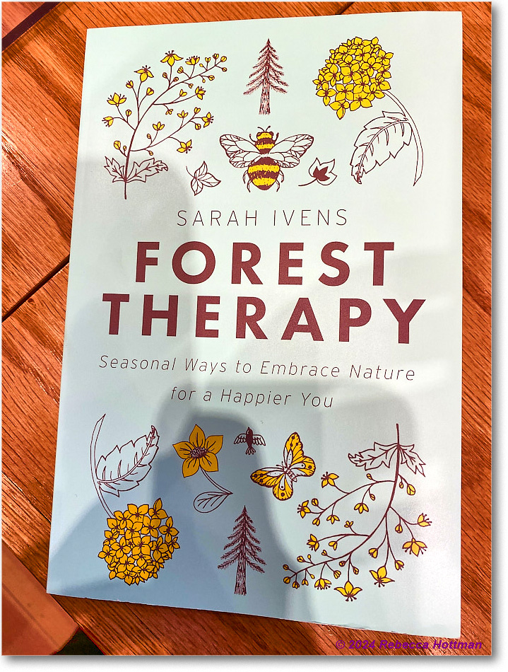 Yellowstone_Aug04Sun_IMG_5632 copy