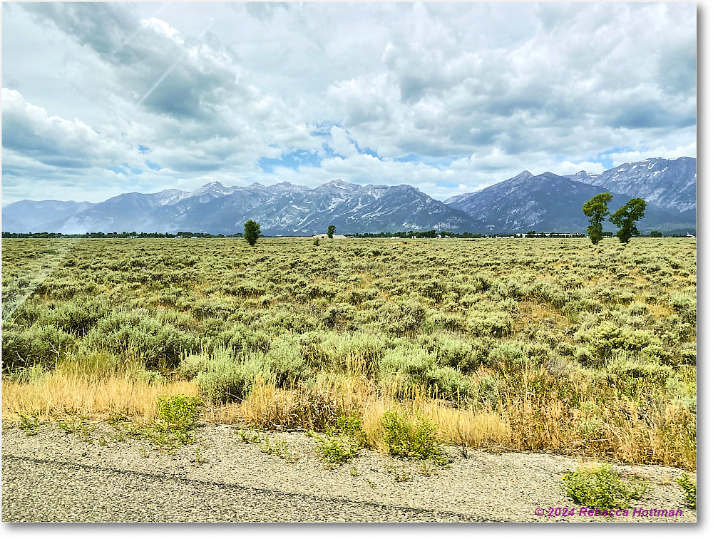 Yellowstone_Jul25Thu_IMG4942 copy