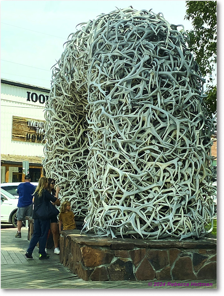 Yellowstone_Jul25Thu_IMG4944 copy