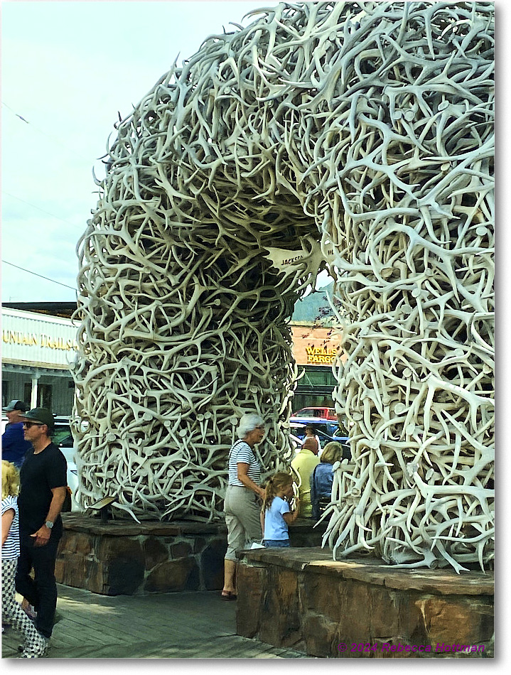 Yellowstone_Jul25Thu_IMG4945 copy