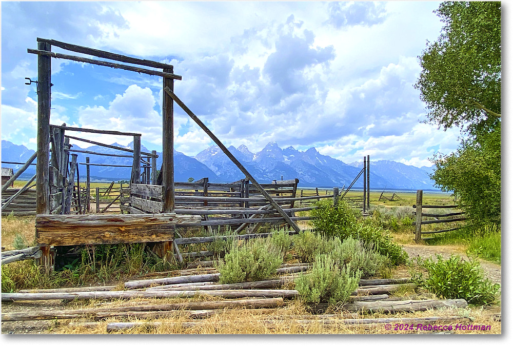 Yellowstone_Jul25Thu_IMG4949 copy