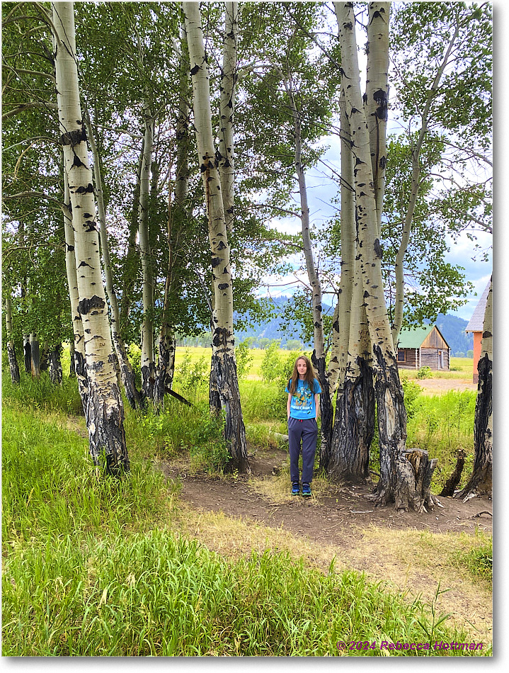 Yellowstone_Jul25Thu_IMG4950 copy