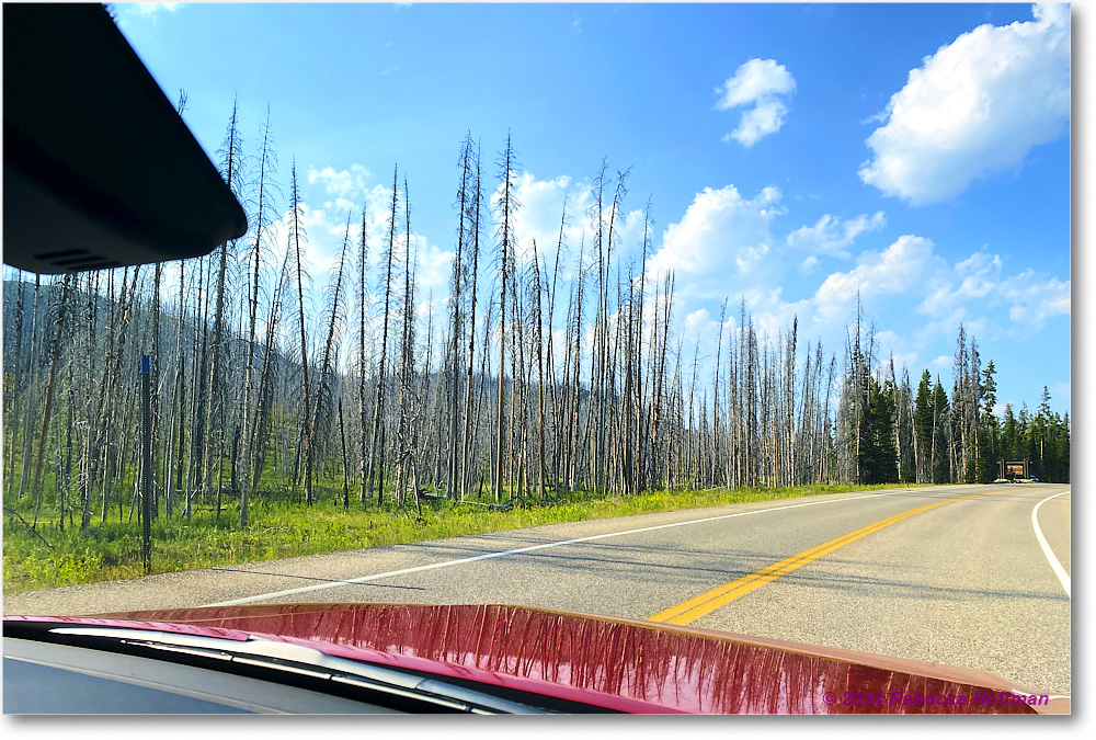 Yellowstone_Jul25Thu_IMG4955 copy