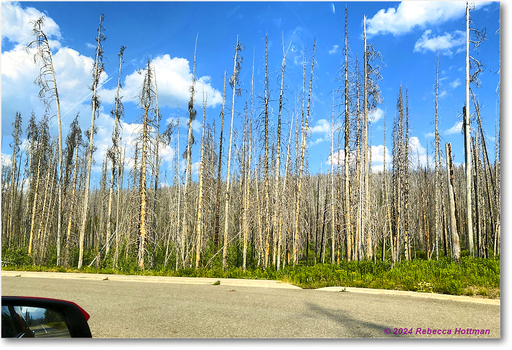 Yellowstone_Jul25Thu_IMG4956 copy