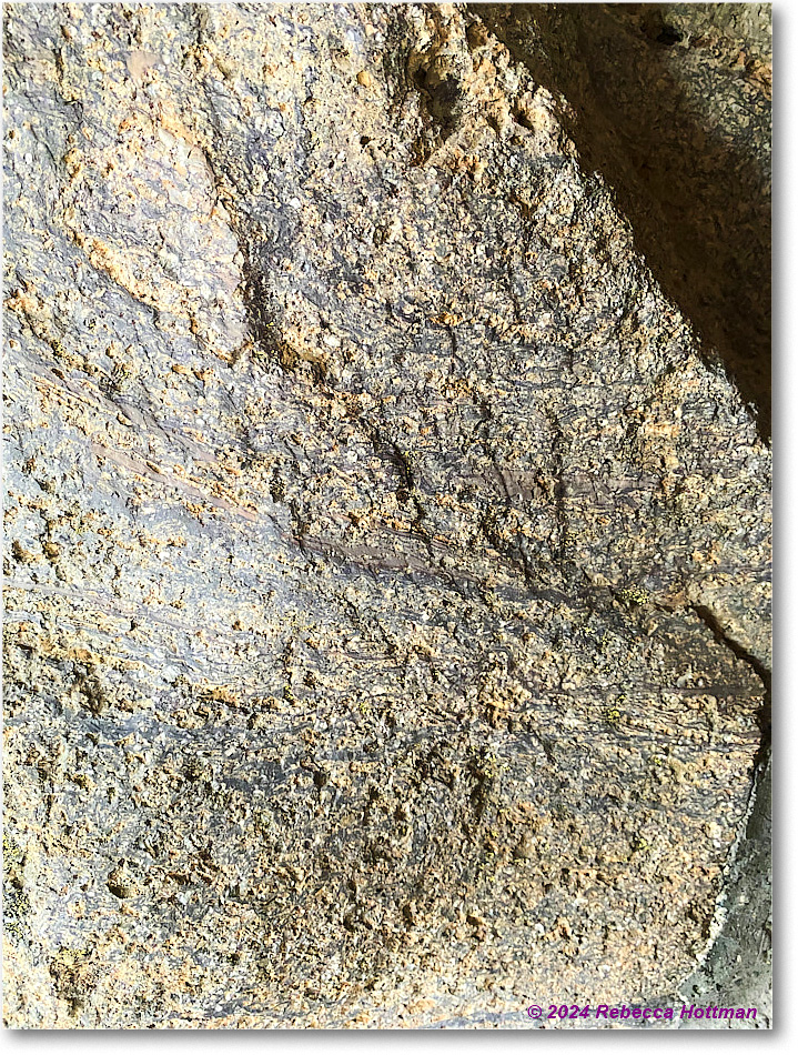 Yellowstone_Jul26Fri_IMG_4971 copy