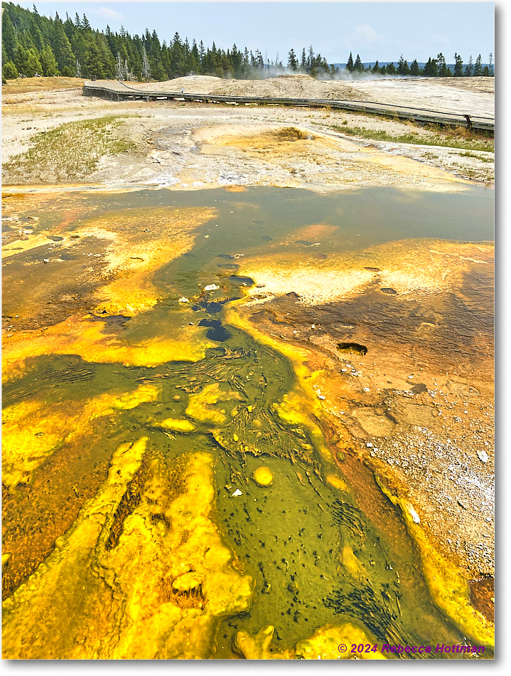 Yellowstone_Jul26Fri_IMG_4982 copy