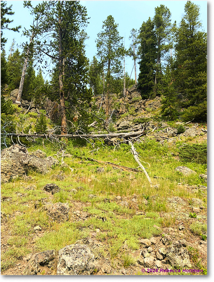 Yellowstone_Jul26Fri_IMG_4990 copy