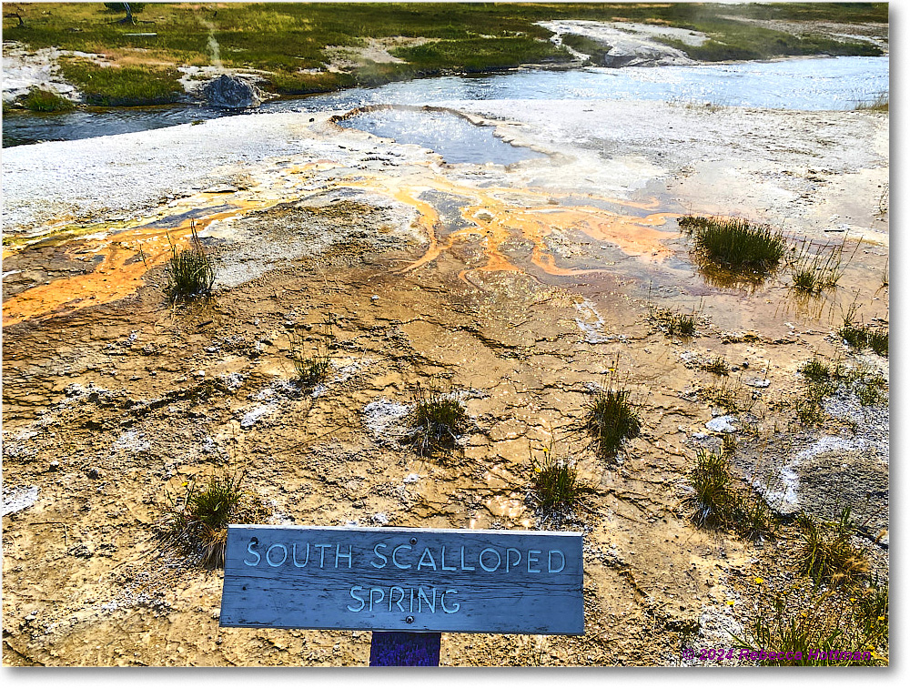 Yellowstone_Jul26Fri_IMG_5015 copy
