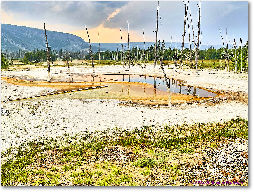 Yellowstone_Jul26Fri_IMG_5027 copy