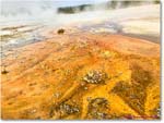 Yellowstone_Jul26Fri_IMG_5035 