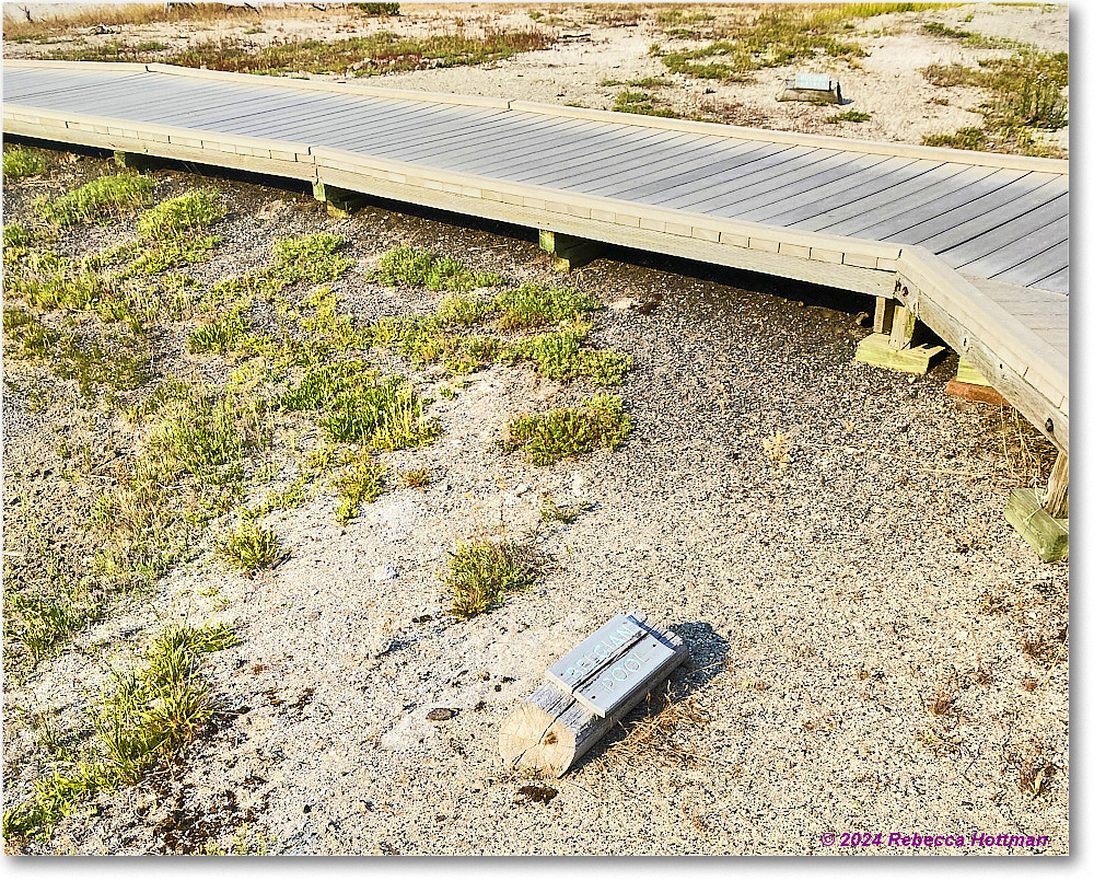 Yellowstone_Jul27Sat_IMG_5057