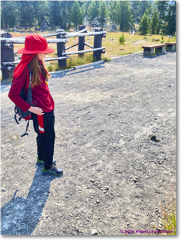 Yellowstone_Jul27Sat_IMG_5079