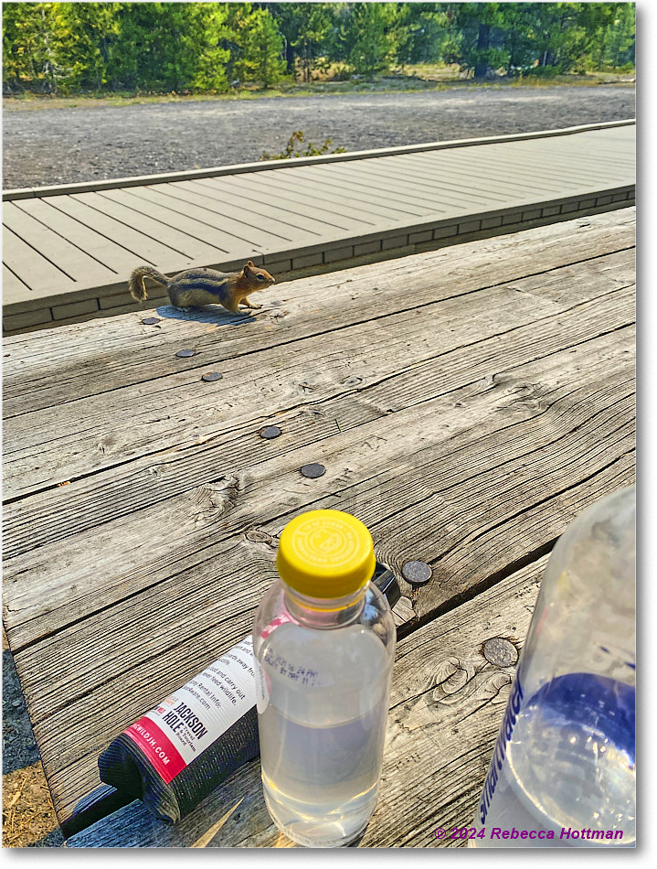 Yellowstone_Jul27Sat_IMG_5085