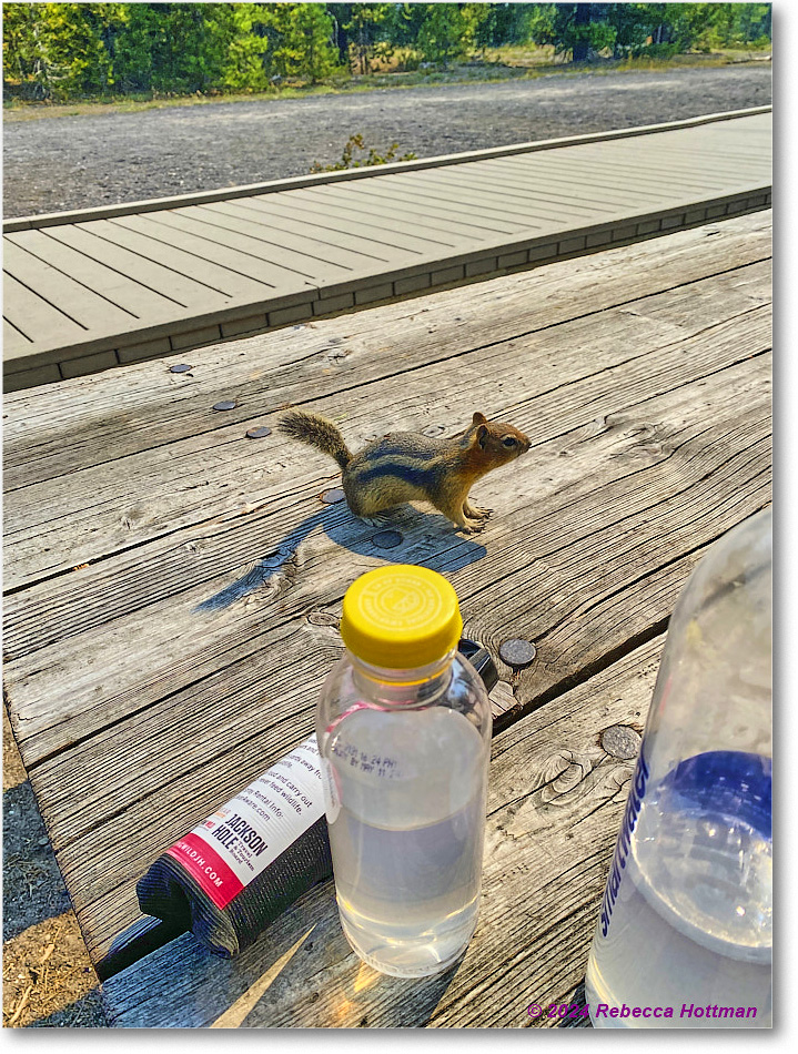 Yellowstone_Jul27Sat_IMG_5086