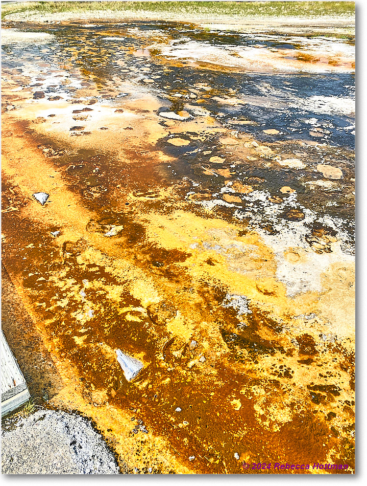 Yellowstone_Jul27Sat_IMG_5089