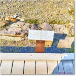 Yellowstone_Jul27Sat_IMG_5080