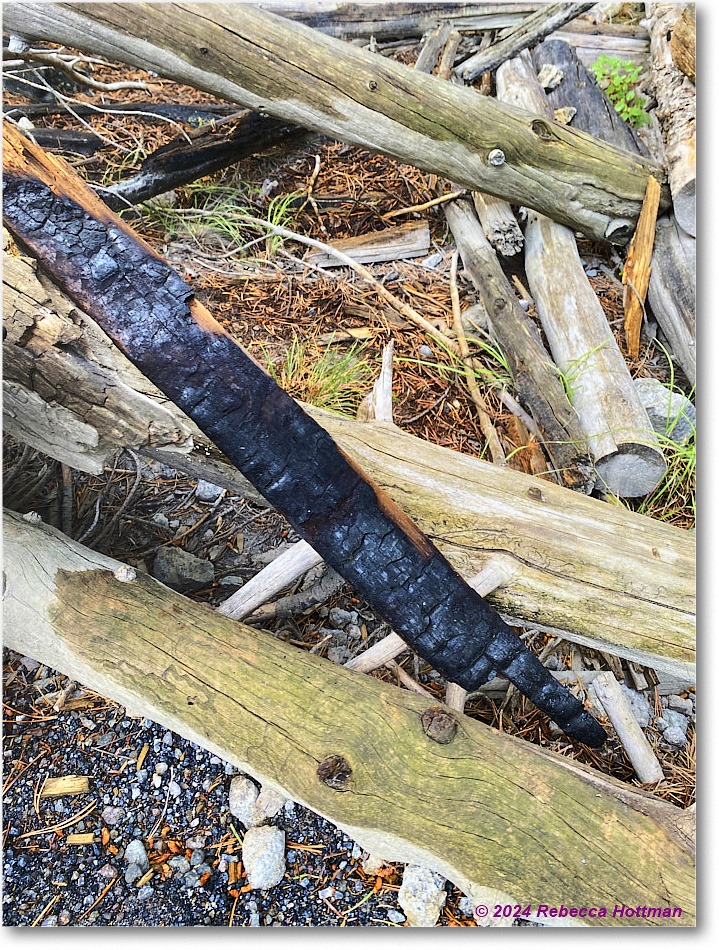 Yellowstone_Jul28Sun_IMG_5099 copy