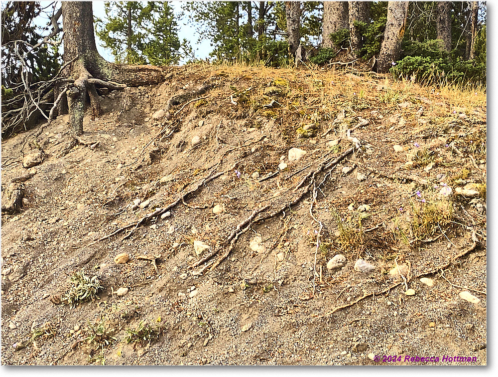 Yellowstone_Jul28Sun_IMG_5108 copy