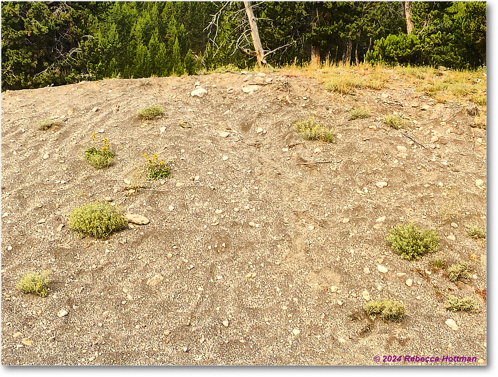 Yellowstone_Jul28Sun_IMG_5109 copy