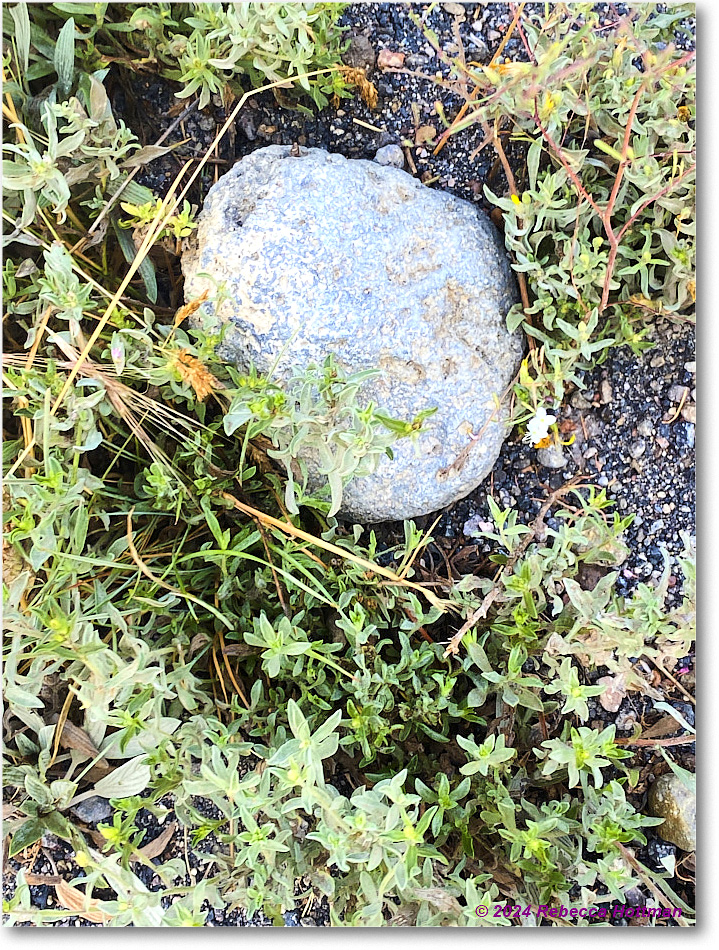 Yellowstone_Jul28Sun_IMG_5111 copy