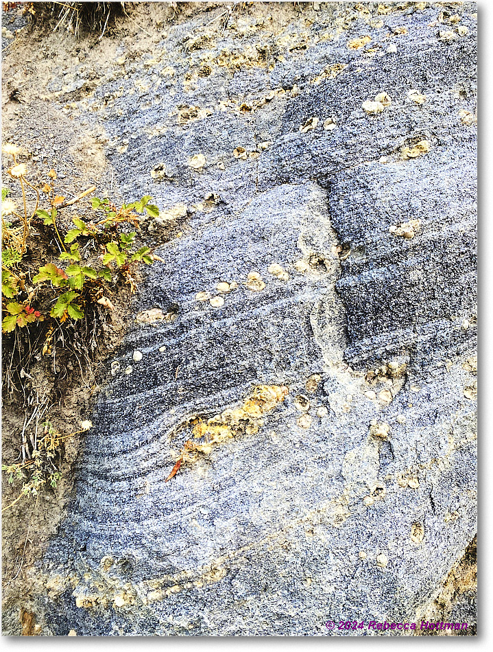 Yellowstone_Jul28Sun_IMG_5114 copy