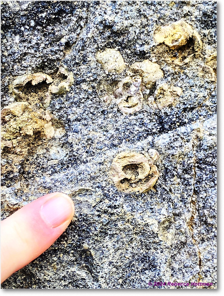 Yellowstone_Jul28Sun_IMG_5115 copy